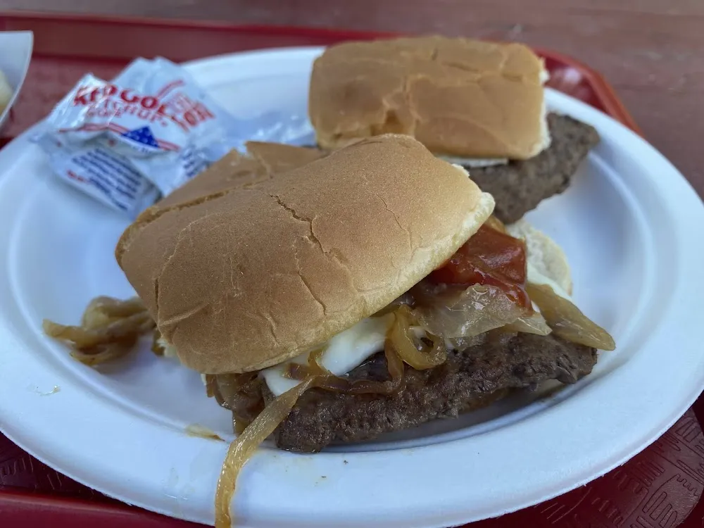 Cheese Burger with Onions and Ketchup